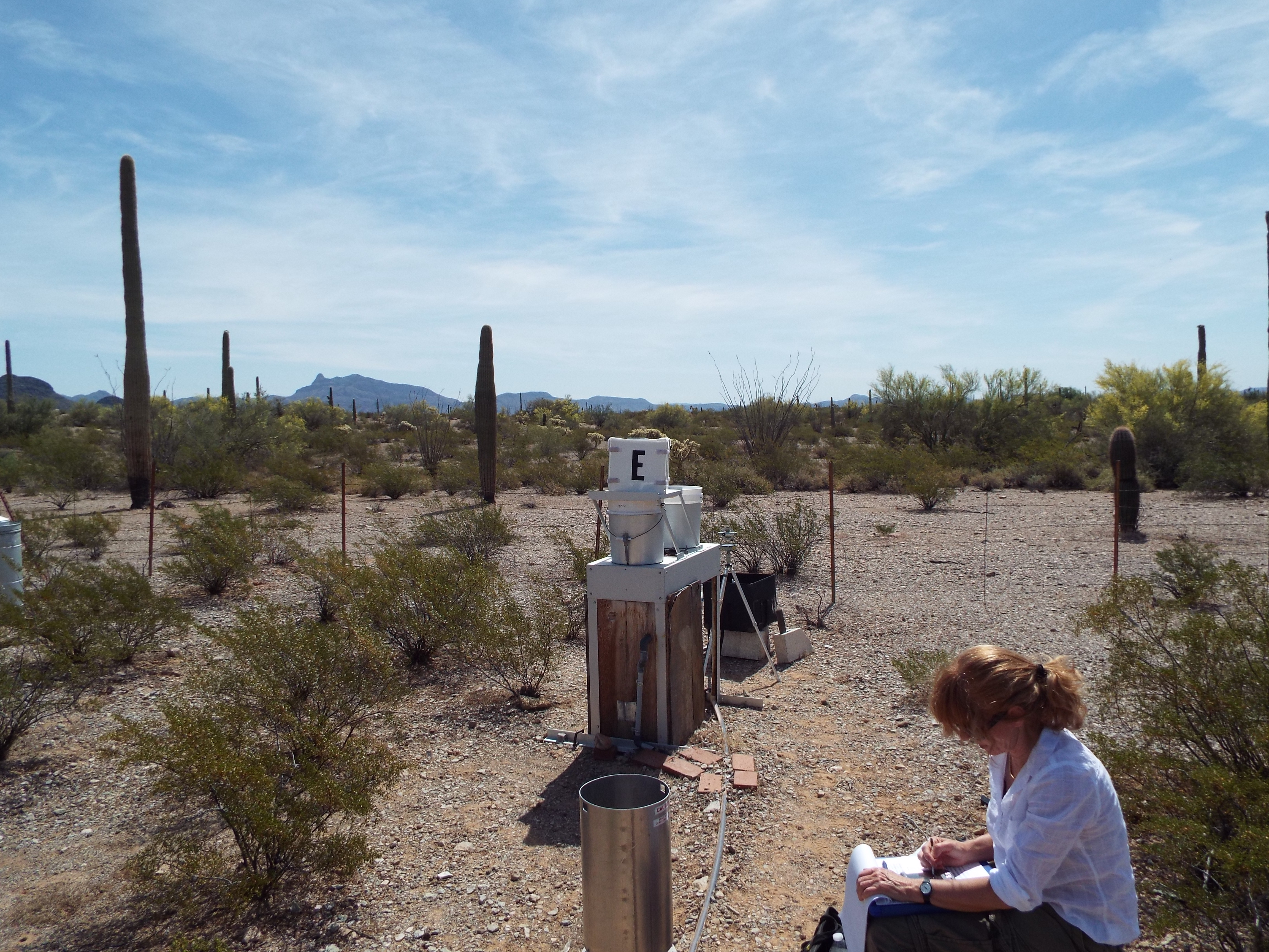 AZ06_NTN_201404_E