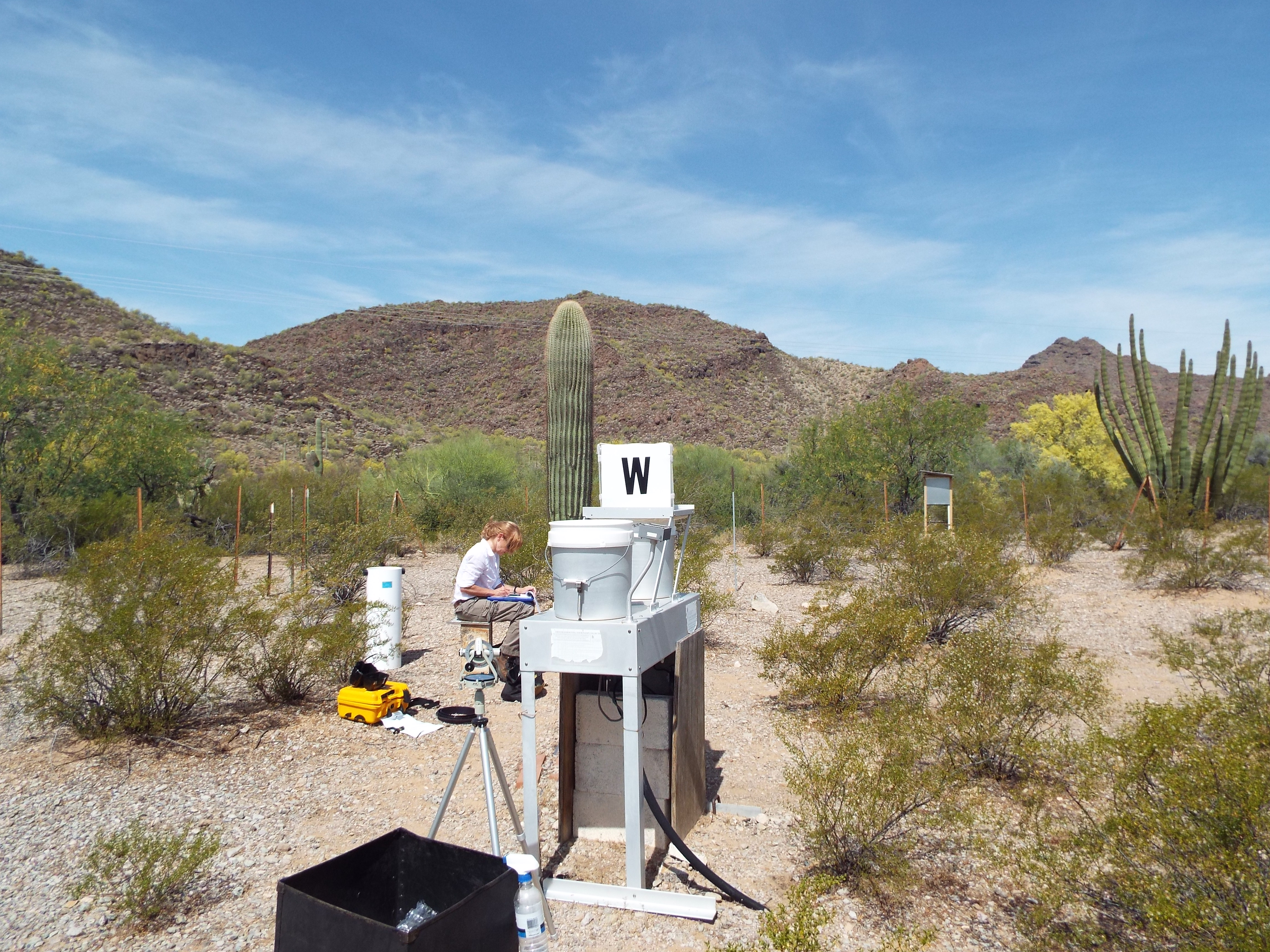AZ06_NTN_201404_W