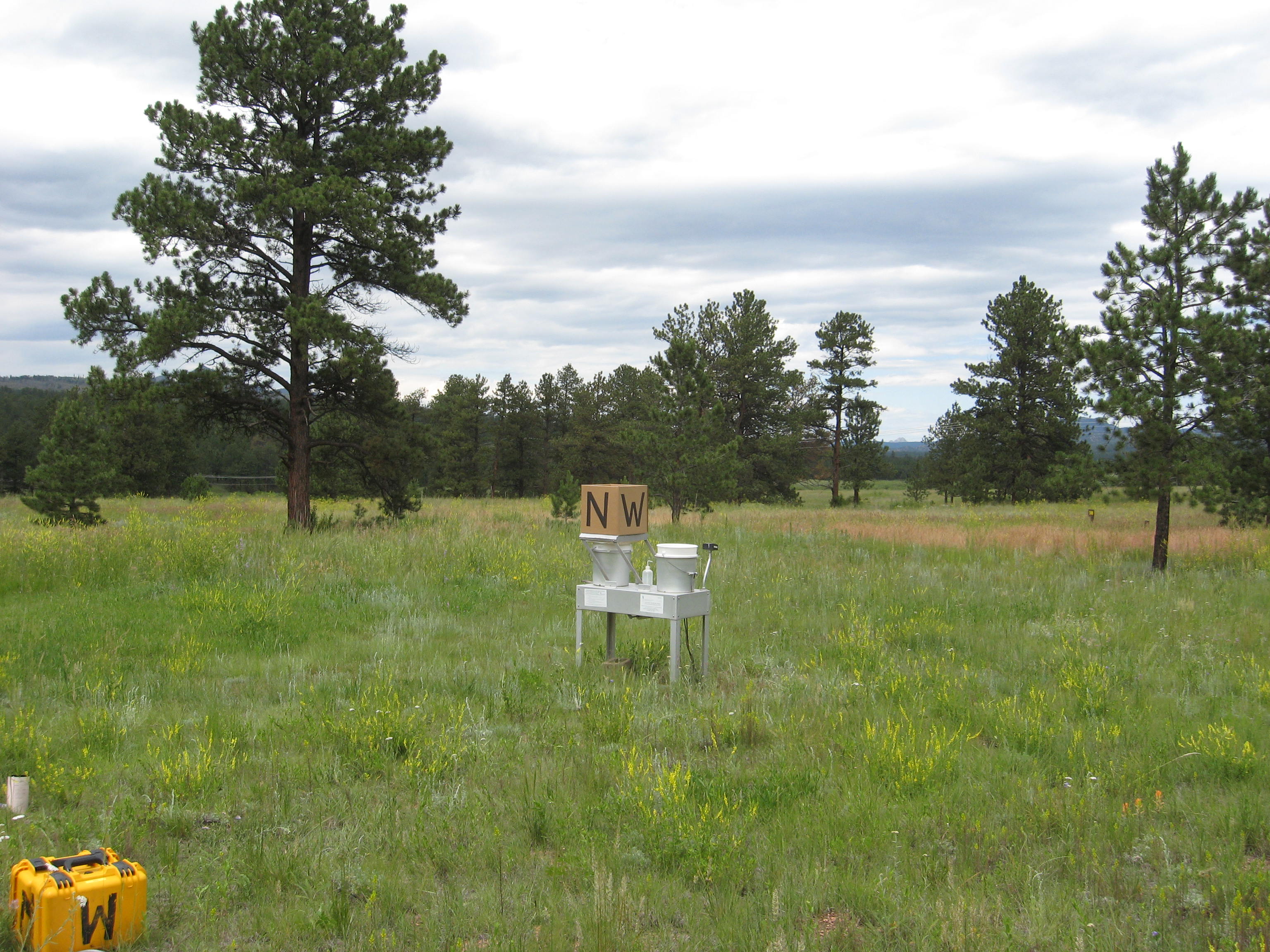 CO21_NTN_201507_NW