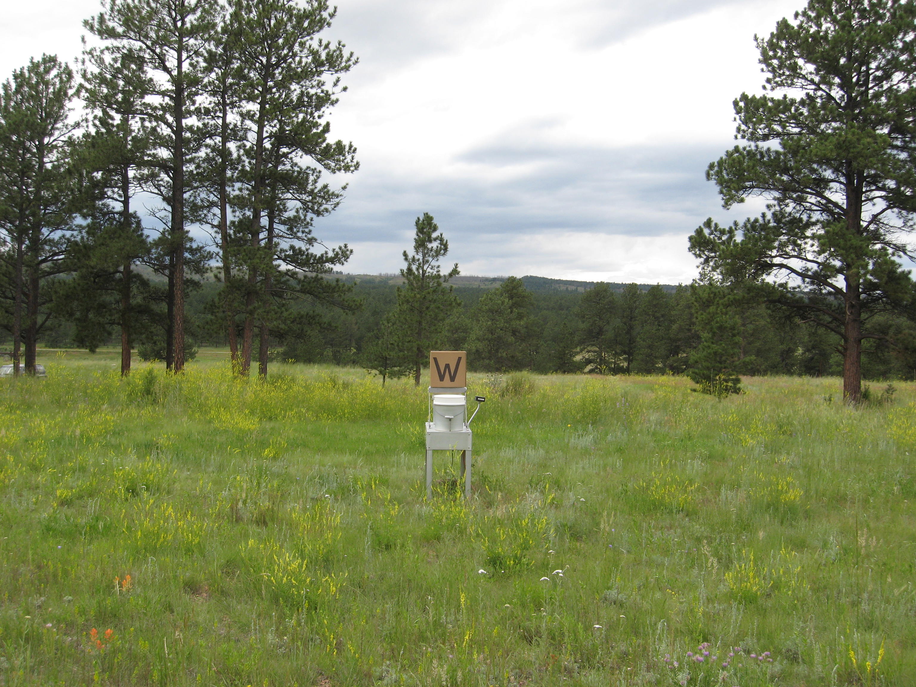CO21_NTN_201507_W